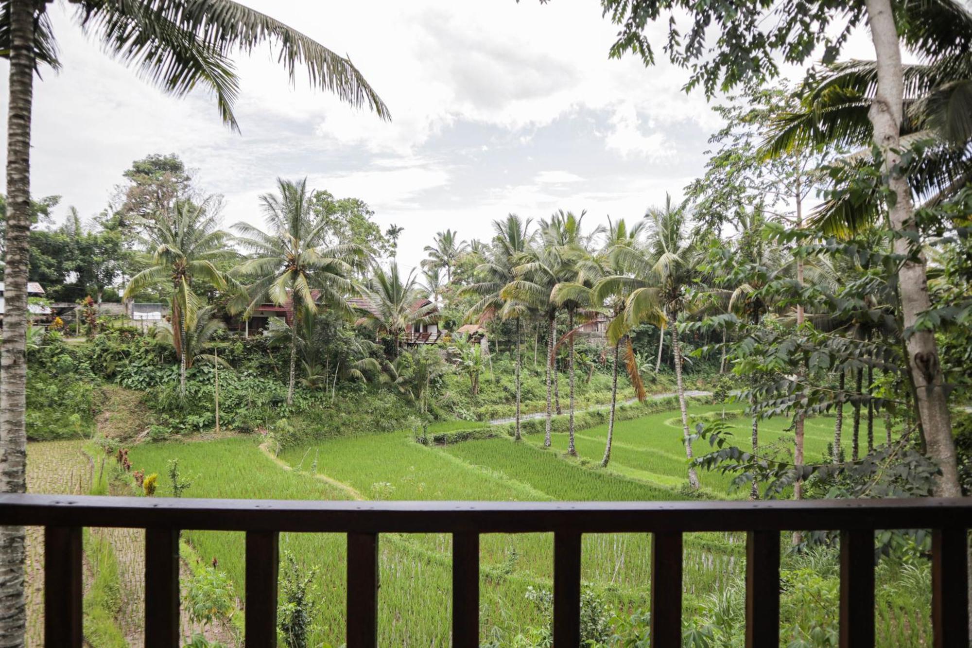 טטבאטו Nea Cottage Lombok מראה חיצוני תמונה