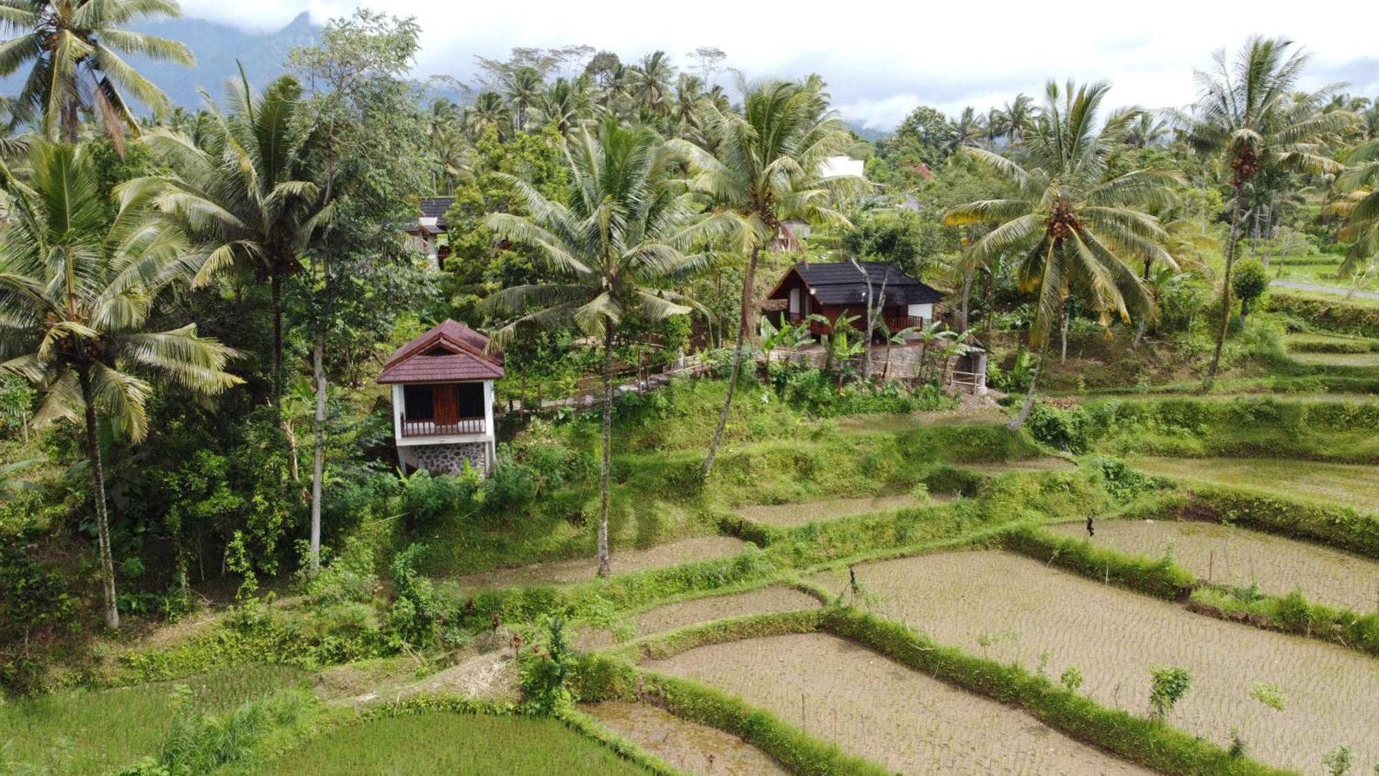 טטבאטו Nea Cottage Lombok מראה חיצוני תמונה
