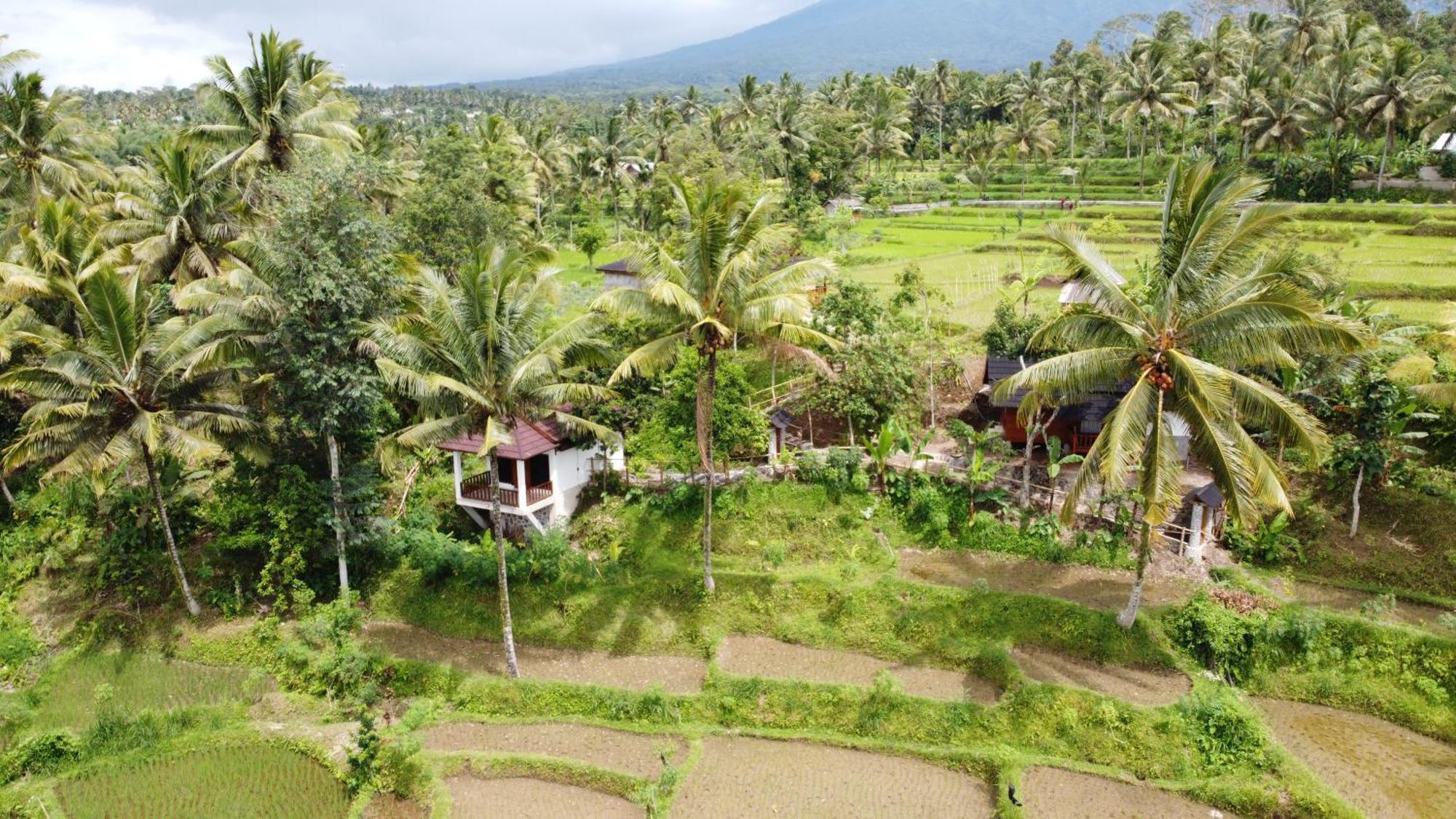 טטבאטו Nea Cottage Lombok מראה חיצוני תמונה