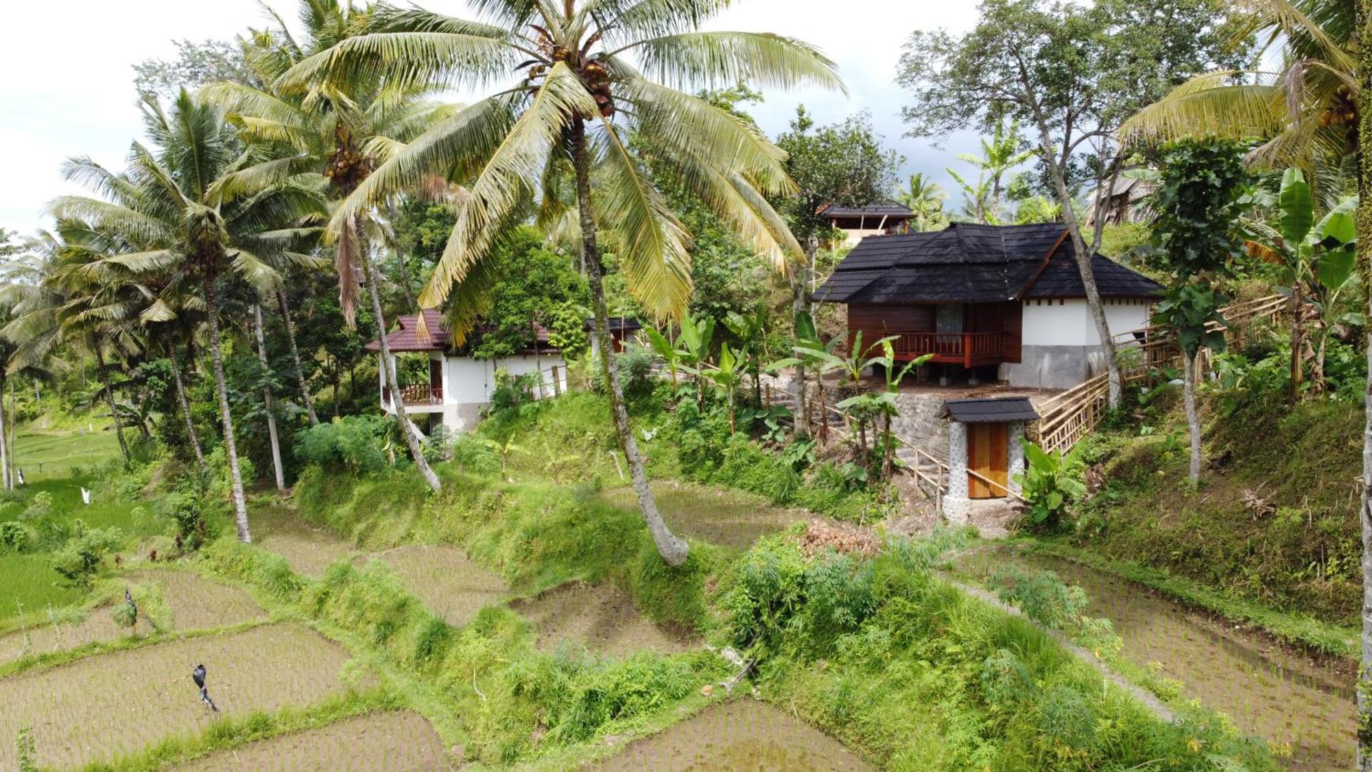 טטבאטו Nea Cottage Lombok מראה חיצוני תמונה
