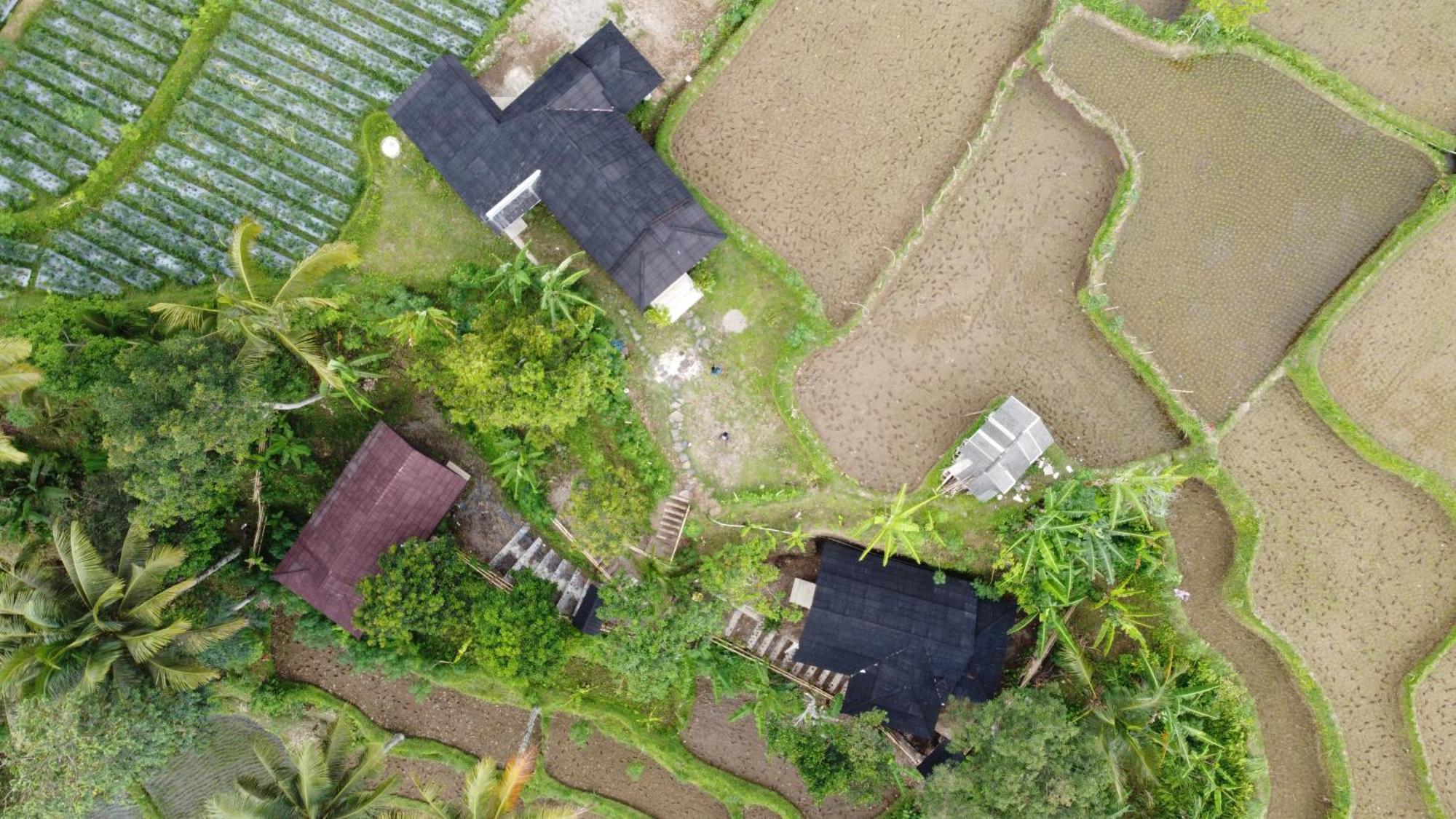 טטבאטו Nea Cottage Lombok מראה חיצוני תמונה