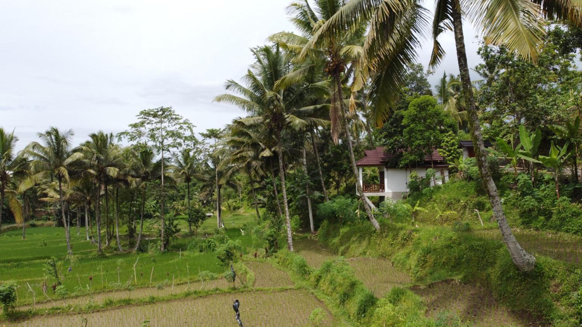 טטבאטו Nea Cottage Lombok מראה חיצוני תמונה