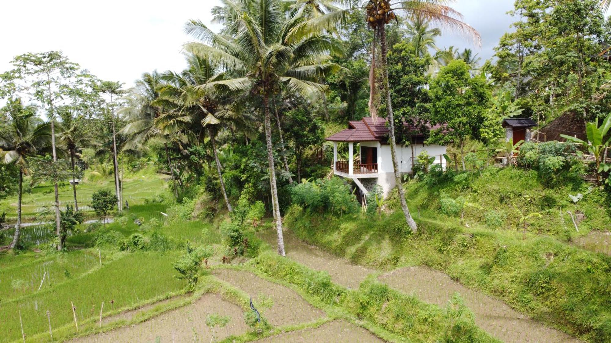 טטבאטו Nea Cottage Lombok מראה חיצוני תמונה