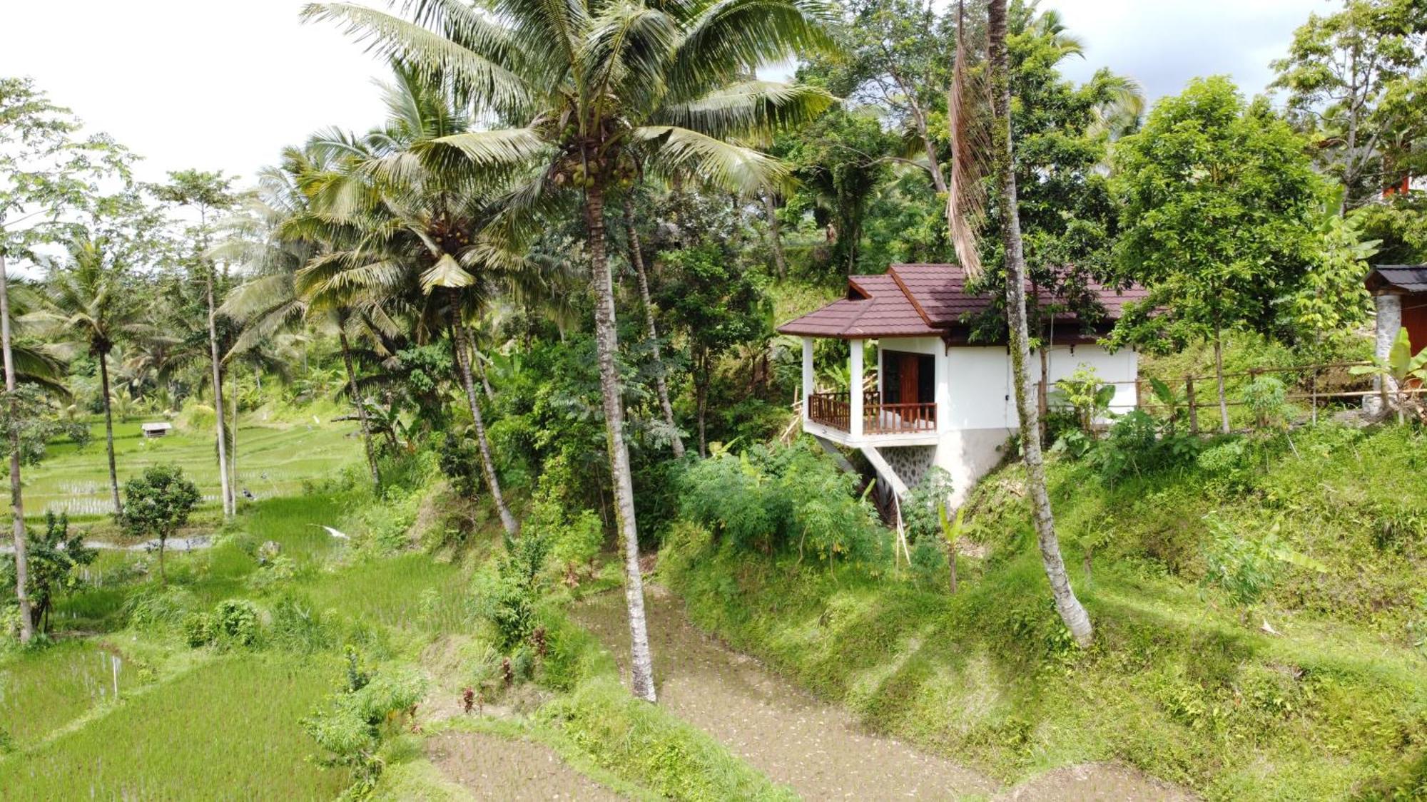 טטבאטו Nea Cottage Lombok מראה חיצוני תמונה