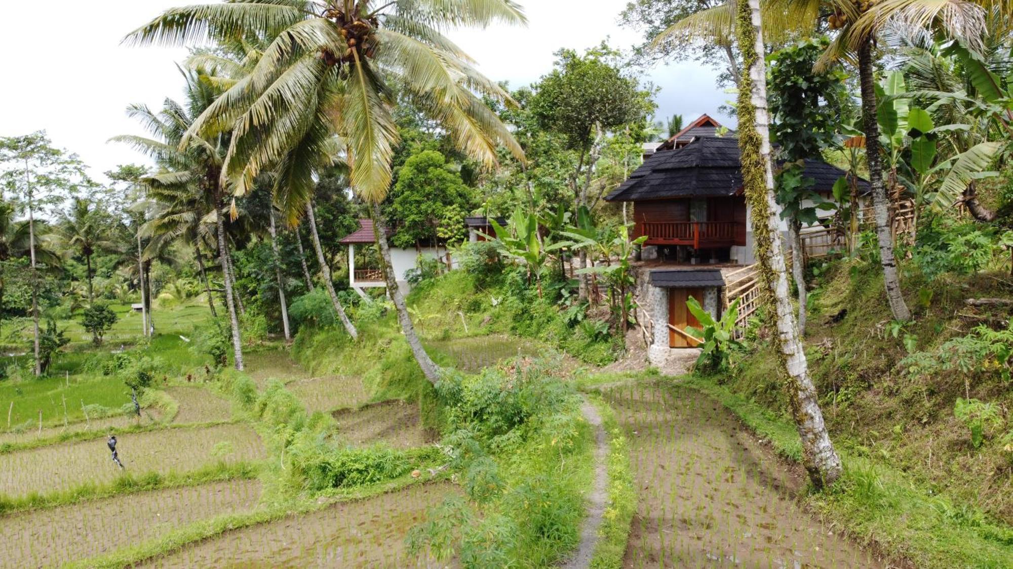 טטבאטו Nea Cottage Lombok מראה חיצוני תמונה