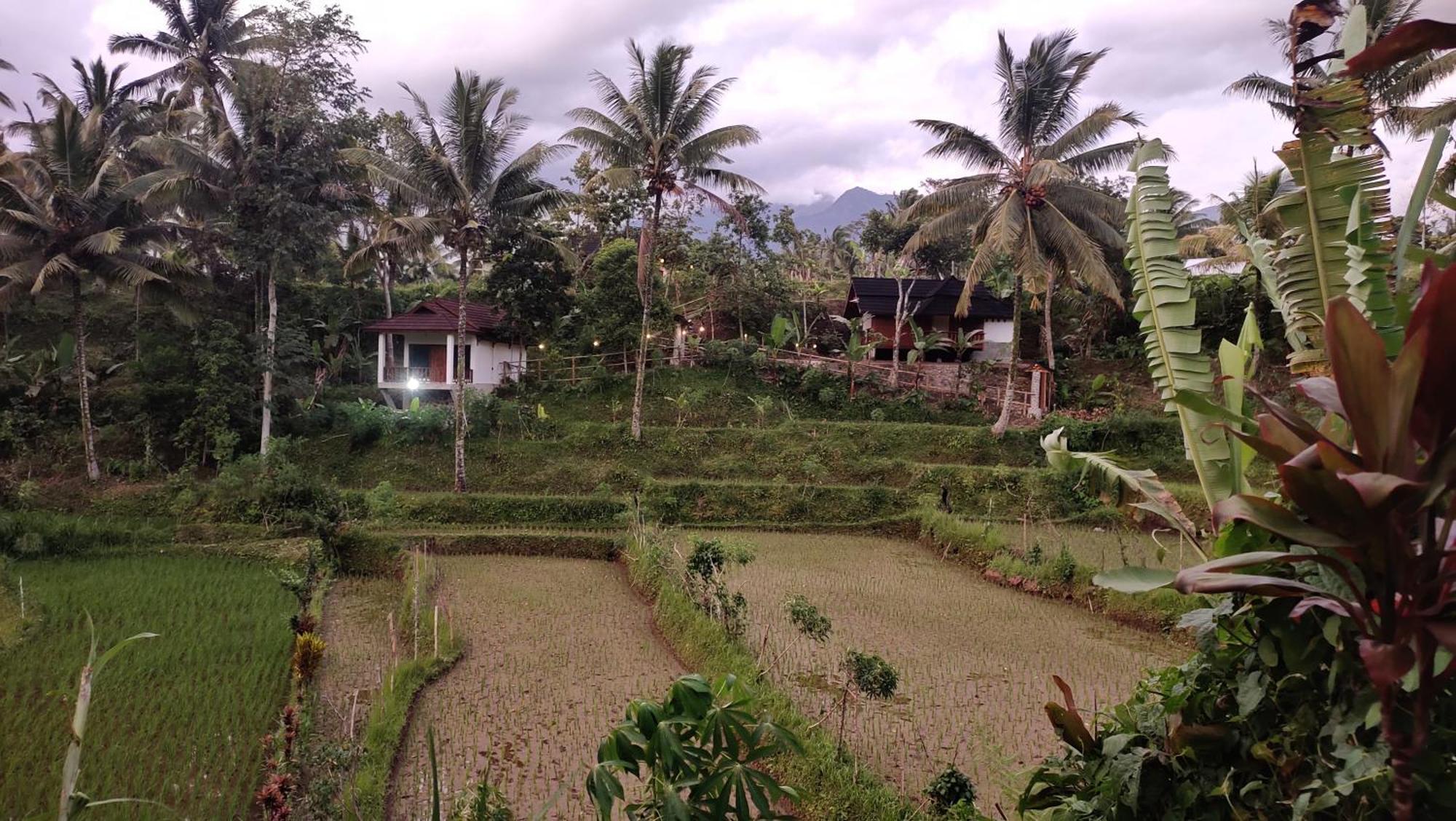 טטבאטו Nea Cottage Lombok מראה חיצוני תמונה