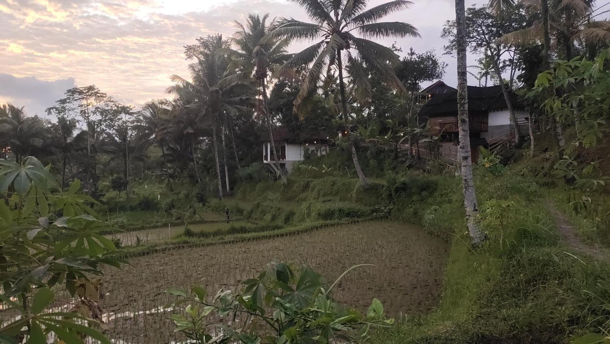 טטבאטו Nea Cottage Lombok מראה חיצוני תמונה