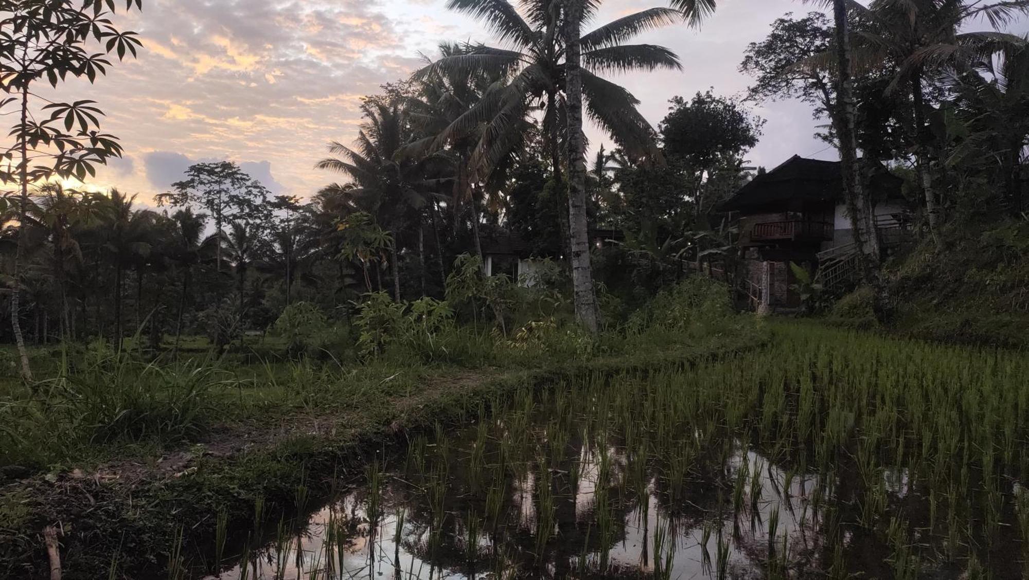 טטבאטו Nea Cottage Lombok מראה חיצוני תמונה
