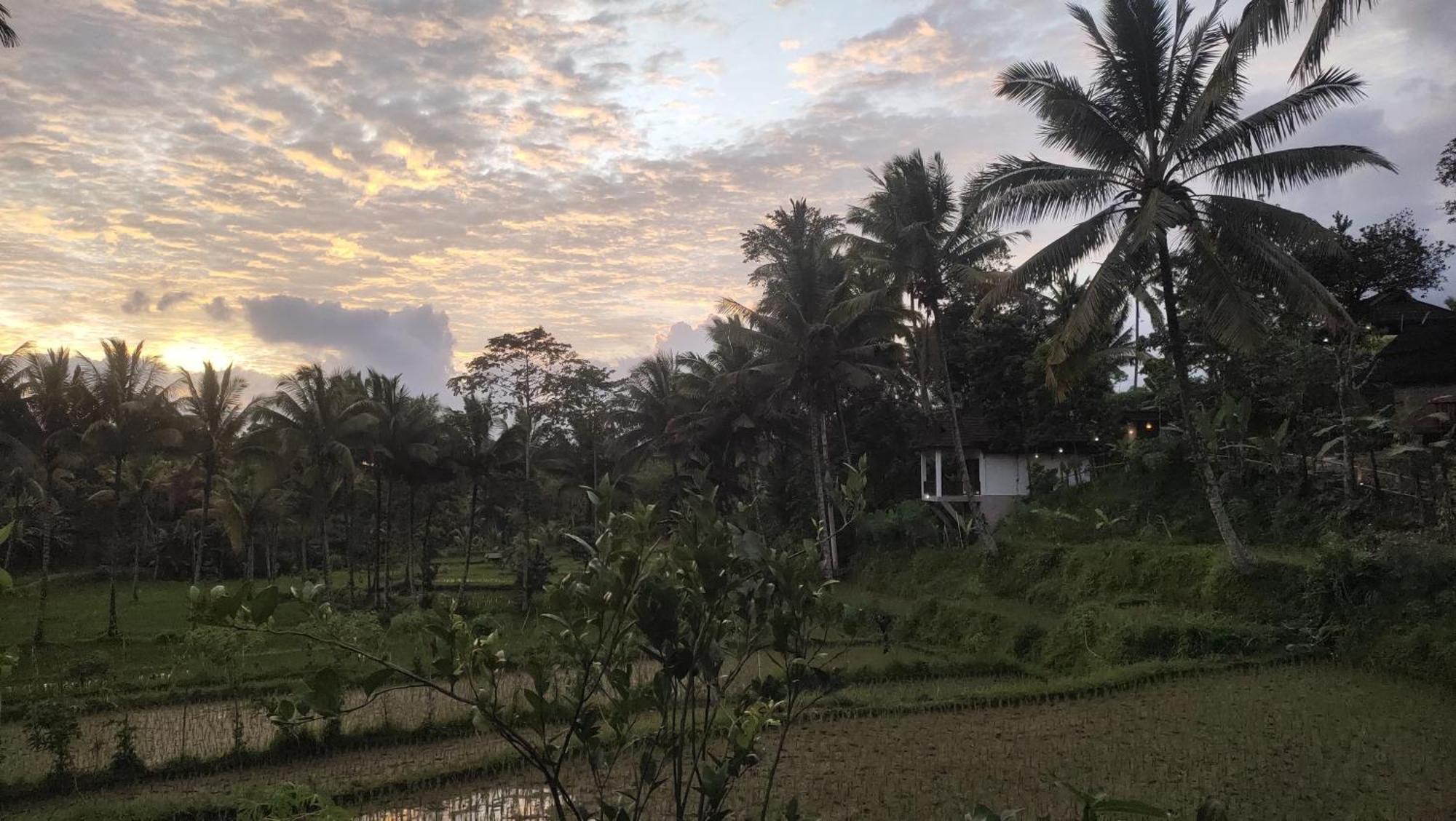 טטבאטו Nea Cottage Lombok מראה חיצוני תמונה