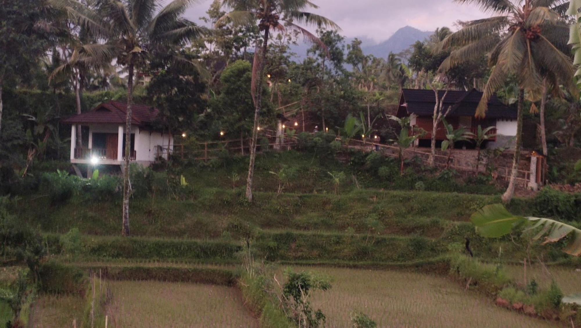טטבאטו Nea Cottage Lombok מראה חיצוני תמונה