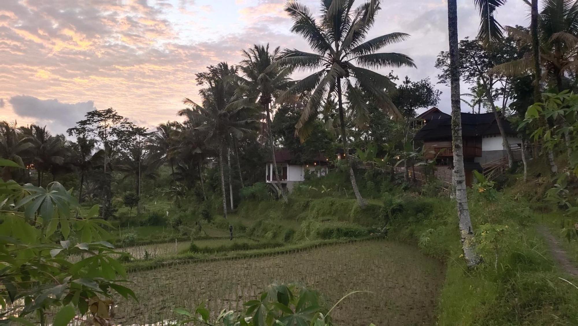 טטבאטו Nea Cottage Lombok מראה חיצוני תמונה